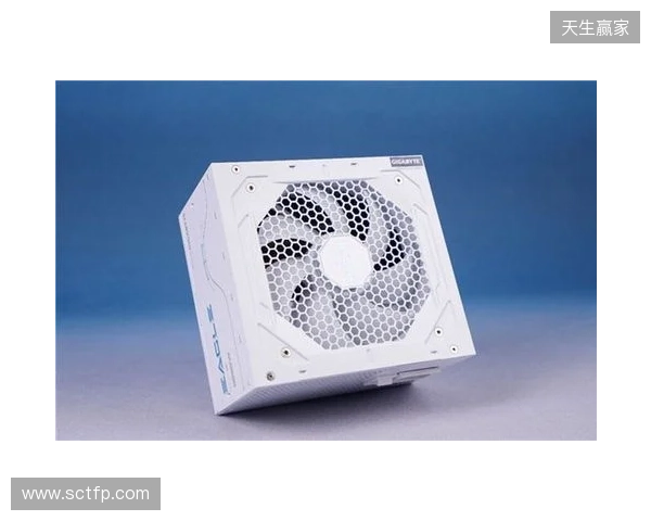 黑白双鹰，白金降临：技嘉猎鹰 冰猎鹰白金电源4月27日开售